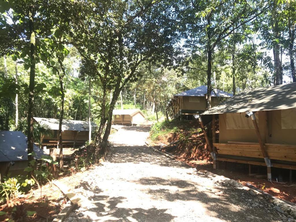 El Pulpo Safari Lodge Ojochal Exterior photo