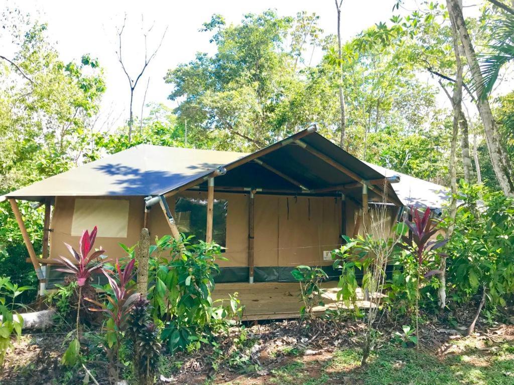 El Pulpo Safari Lodge Ojochal Exterior photo