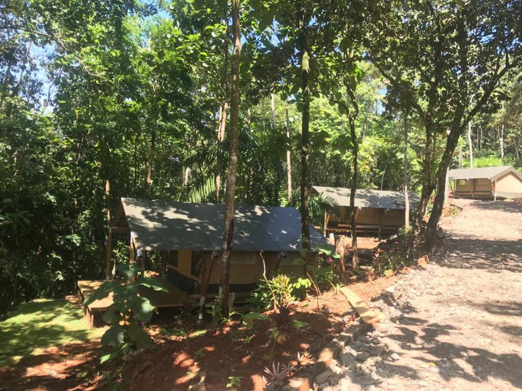 El Pulpo Safari Lodge Ojochal Exterior photo