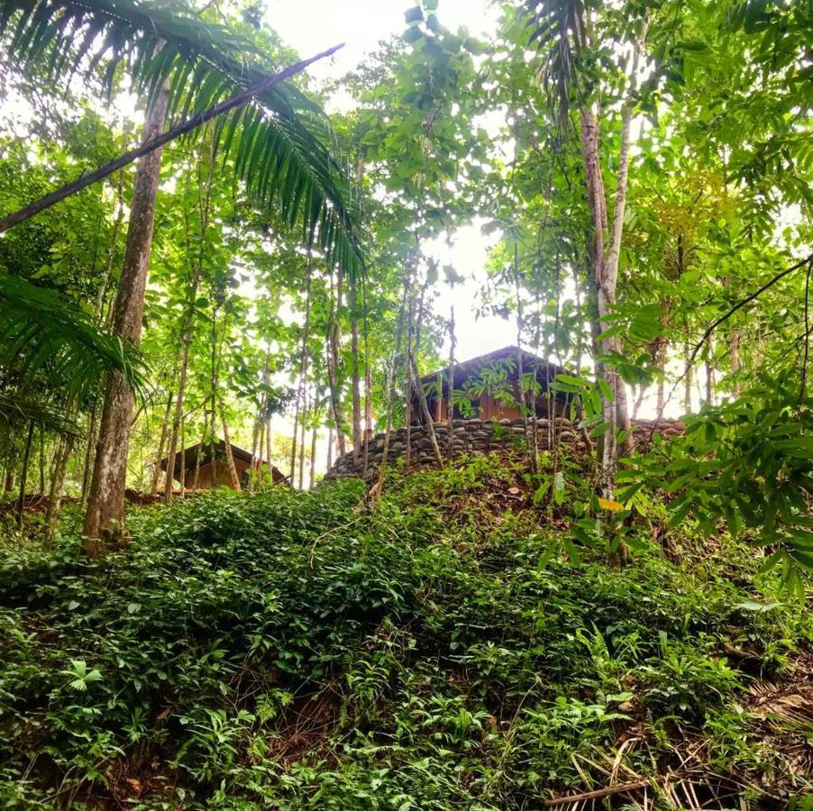 El Pulpo Safari Lodge Ojochal Exterior photo