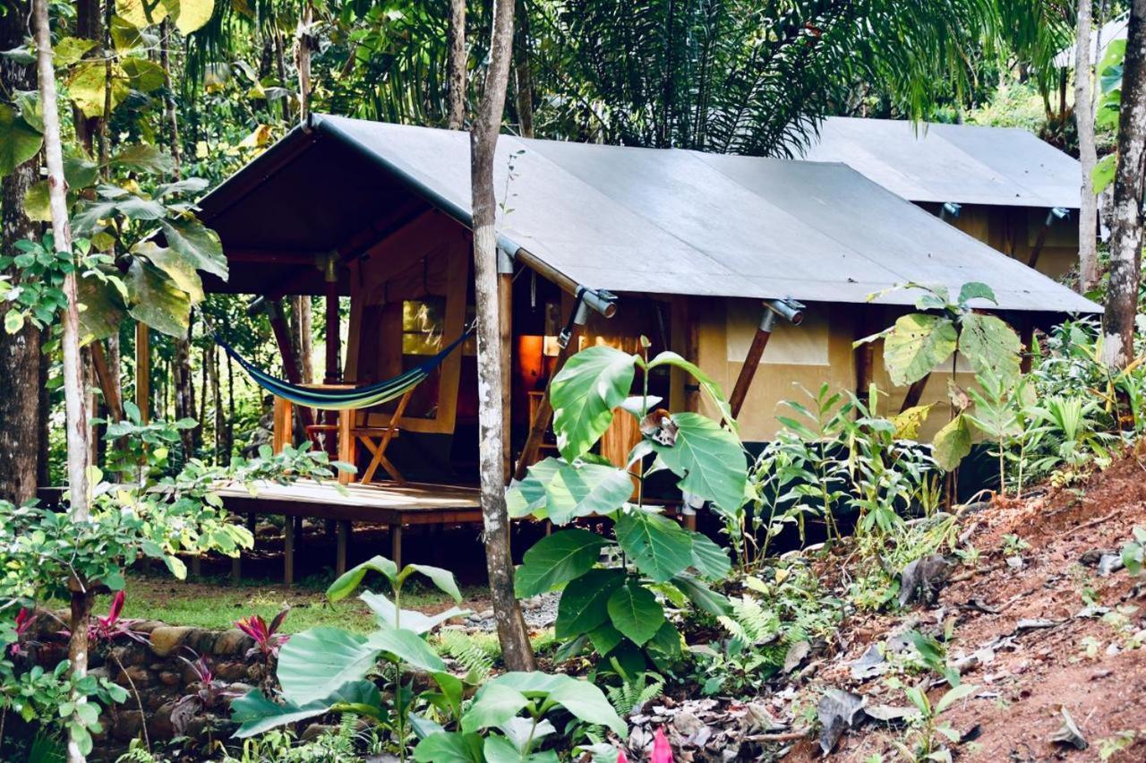 El Pulpo Safari Lodge Ojochal Exterior photo